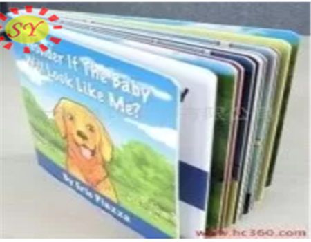 Printed Picture Album