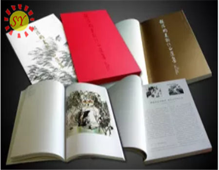 Printed Picture Album