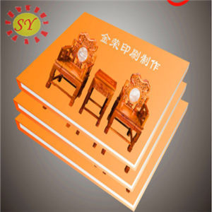 说明书